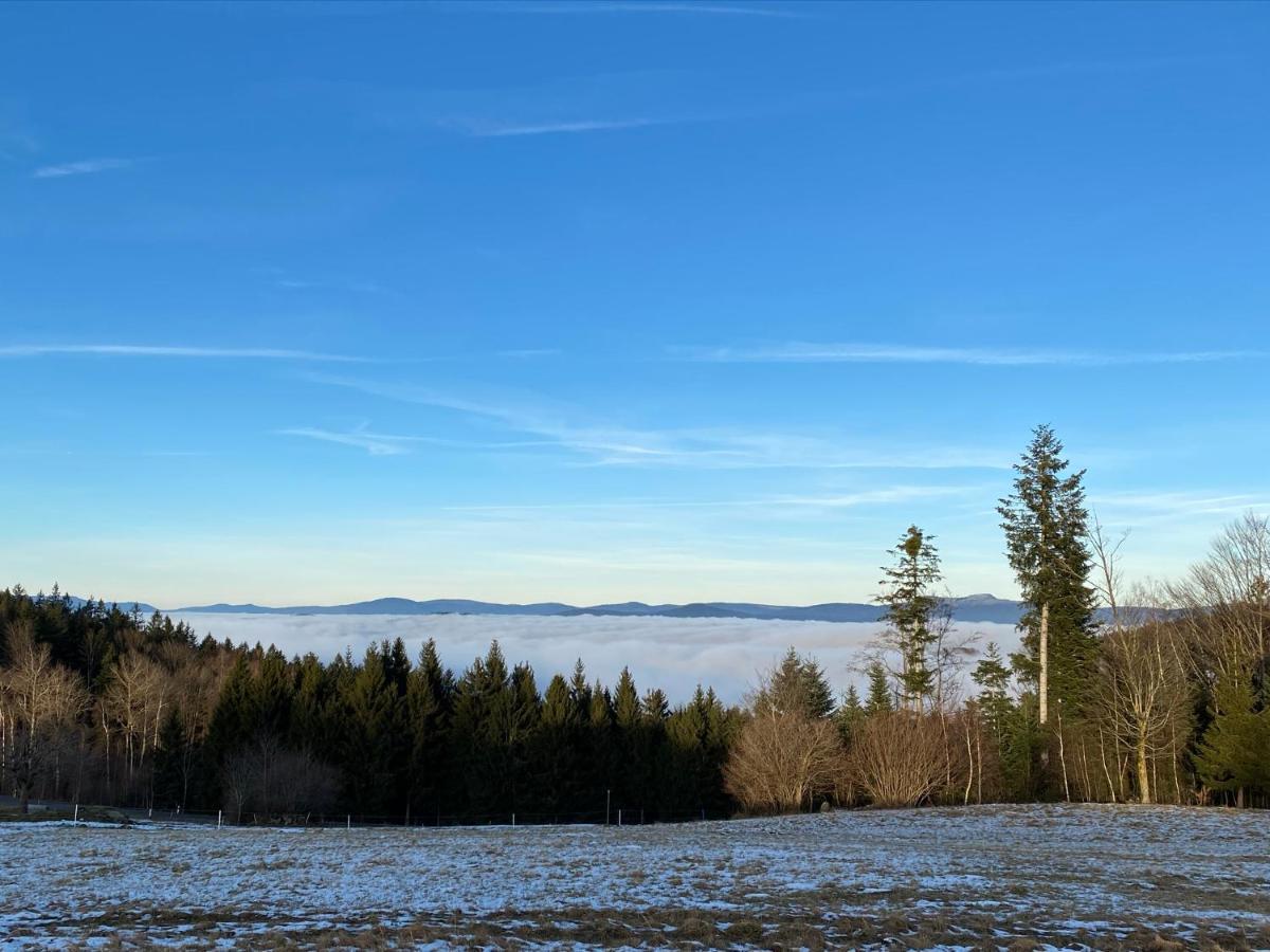 Mitten Im Bayerischen Wald-95M² Wohnung + *Netflix* Direkt Am Skilift! Schöfweg Kültér fotó