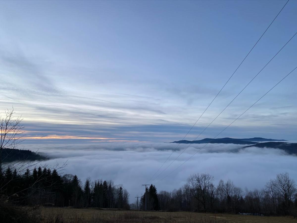 Mitten Im Bayerischen Wald-95M² Wohnung + *Netflix* Direkt Am Skilift! Schöfweg Kültér fotó
