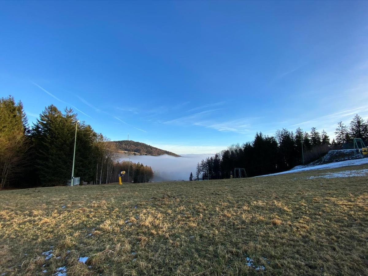 Mitten Im Bayerischen Wald-95M² Wohnung + *Netflix* Direkt Am Skilift! Schöfweg Kültér fotó