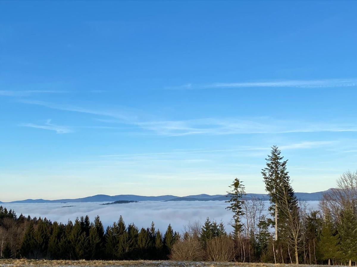 Mitten Im Bayerischen Wald-95M² Wohnung + *Netflix* Direkt Am Skilift! Schöfweg Kültér fotó